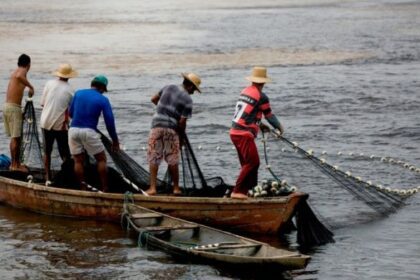 Secretaria de Agricultura e Pesca é criada em Candeias após aprovação na Câmara