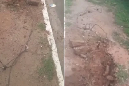 Reprodução / Guarda Civil Municipal