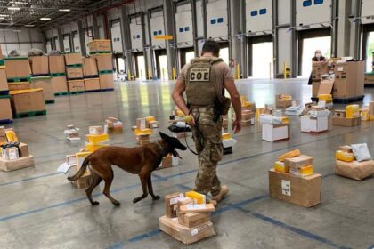 Drogas são apreendidas em mais de 30 encomendas dos Correios na RMS