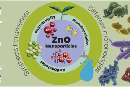 Estratégia para inativar bactérias multirresistentes é descrita em estudo