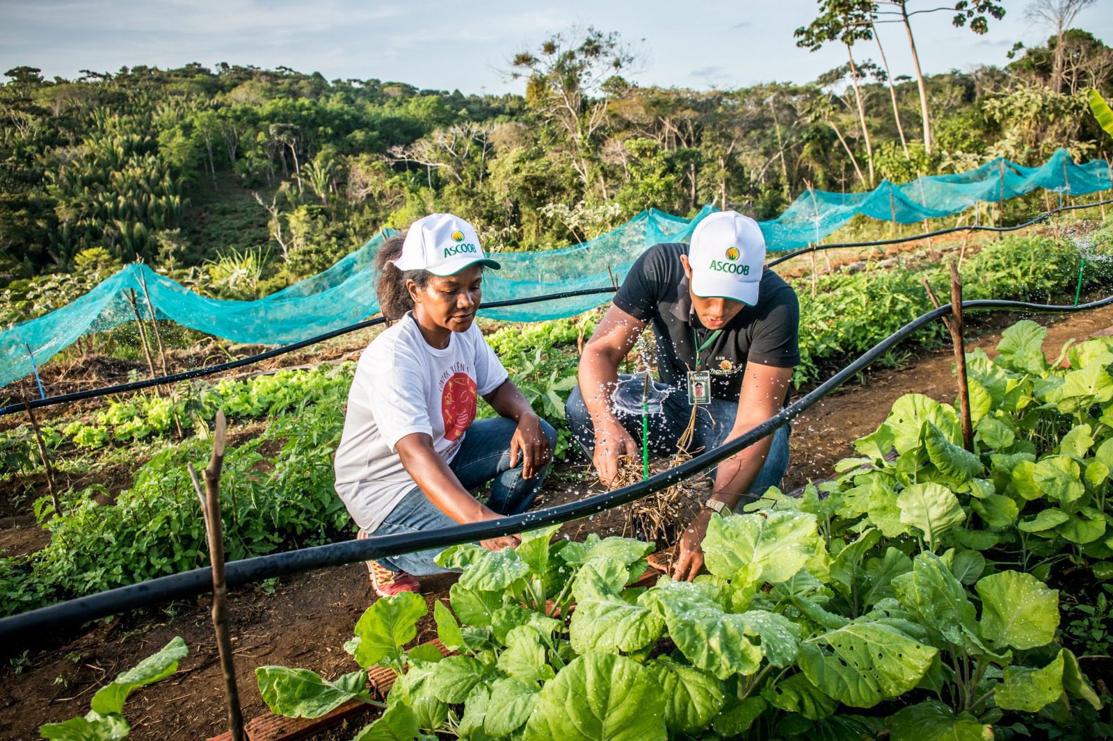 Edital lançado segunda-feira garante água para produção animal
