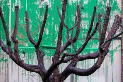 Morador se indigna com aluguel após obra de Banksy em seu muro