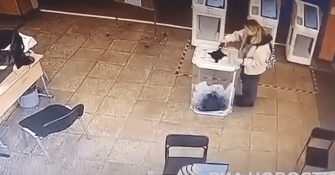 Rússia abre investigação contra mulher que colocou tinta em urna eleitoral