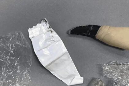 O que um dedo de bruxa, um papel e uma sacola têm em comum?