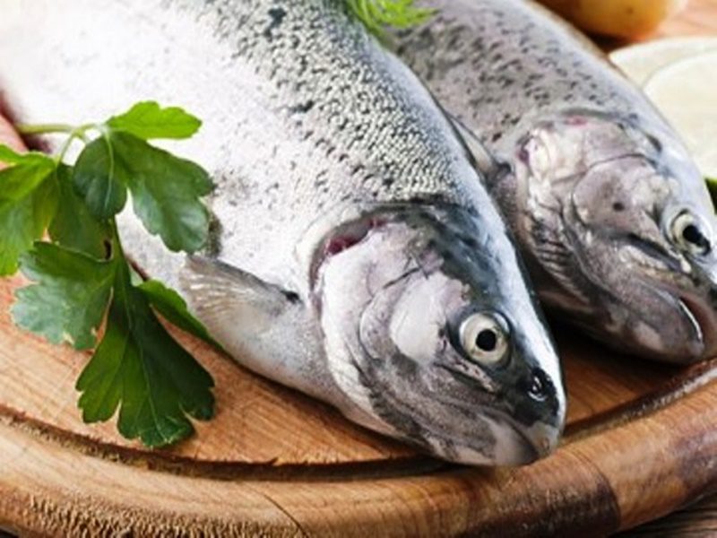 SFC: CESTA DA SEMANA SANTA COMEÇARÁ A SER DISTRIBUÍDA NO DIA 19