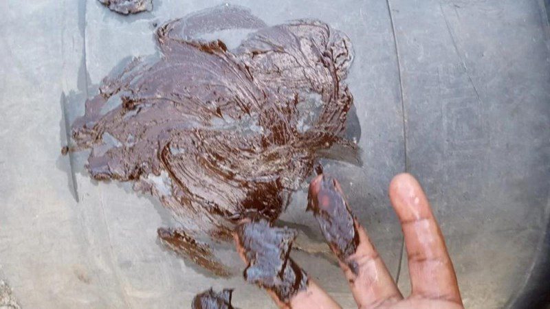 SFC: MACHAS DE ÓLEO TÊM SIDO VISTAS NO MANGUE DO ILHOTE