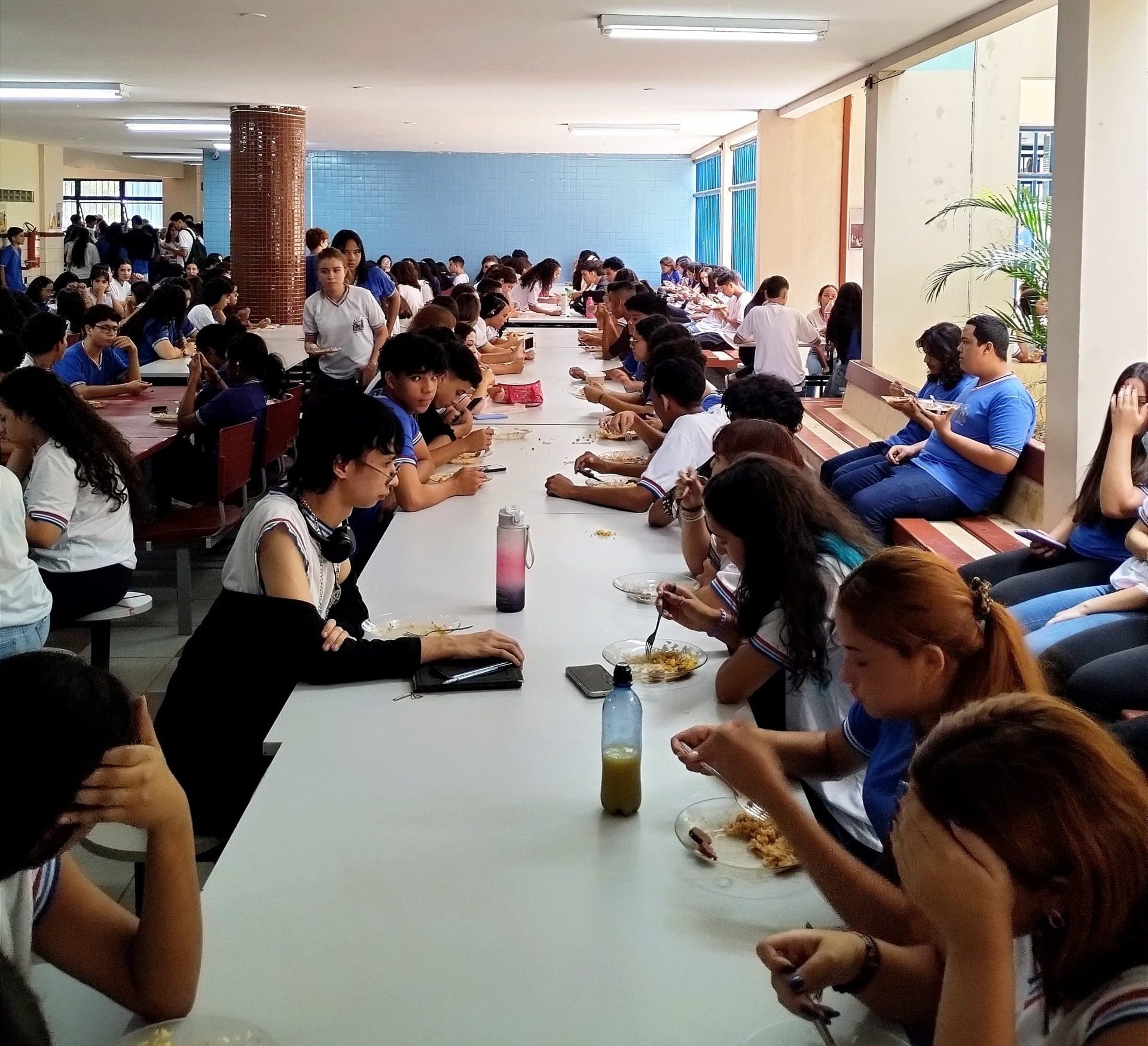 Agricultura familiar reforçará alimentação escolar no sudoeste baiano