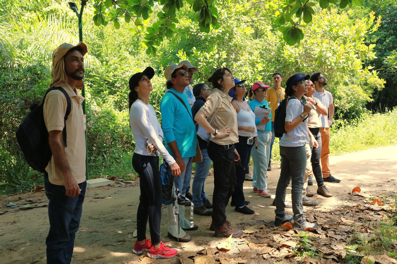 Capacitação de servidores do Inema para identificação de estágios sucessoriais