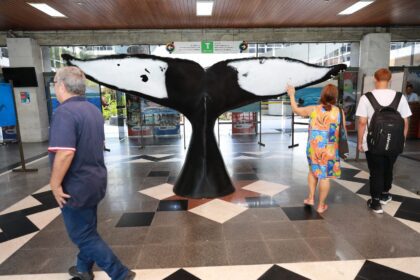 Exposição em Salvador homenageia Dia Mundial da Água com projeto Baleia Jubarte
