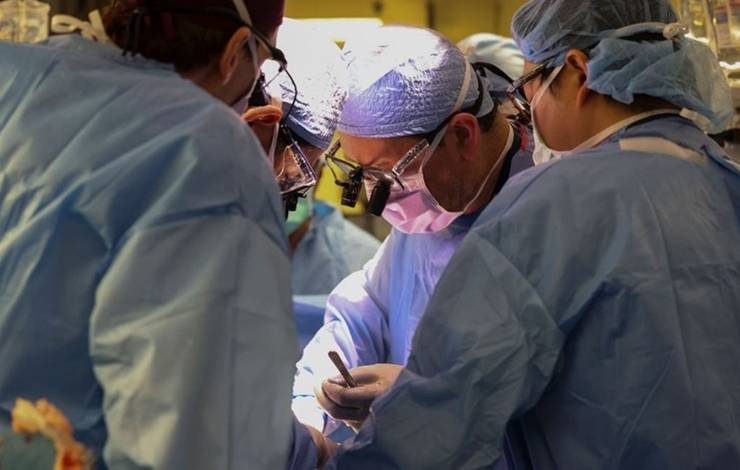 1º transplante de rim de porco para humano vivo é liderado por cirurgião brasileiro.