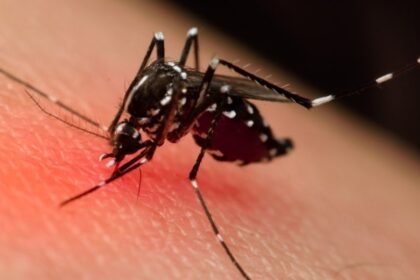 Bahia em alerta: 23ª morte por dengue confirmada, 285 cidades em epidemia