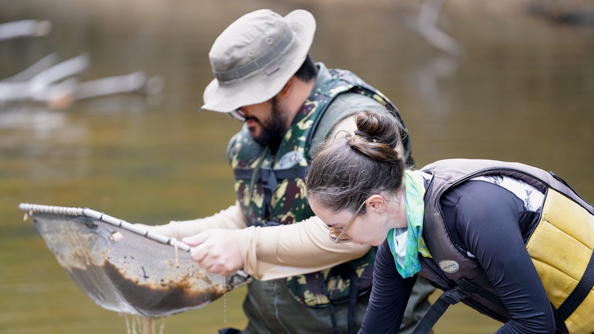 Capítulo 4: Sarapós prosperam em uma variedade de ambientes