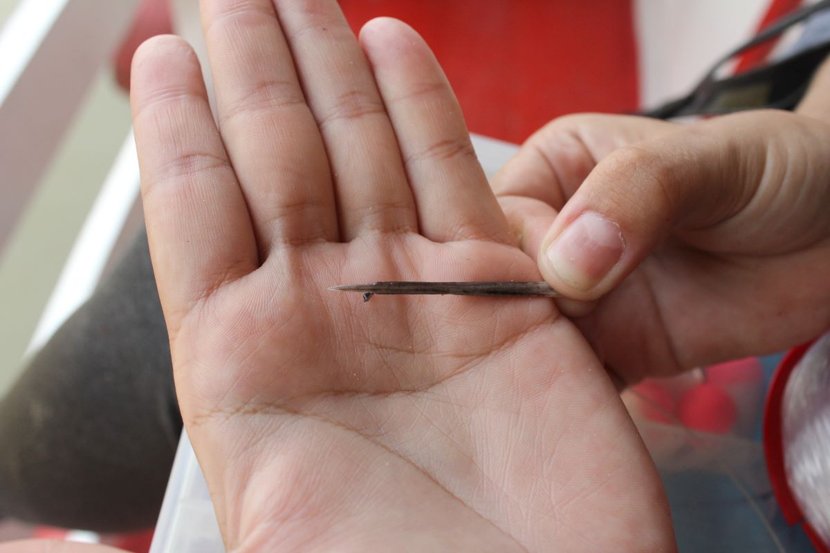 Capítulo 5: coletas no jauaperi continuam sem interrupções após acidente com raia Capítulo 5: Coletas no Jauaperi continuam sem interrupções após acidente com raia