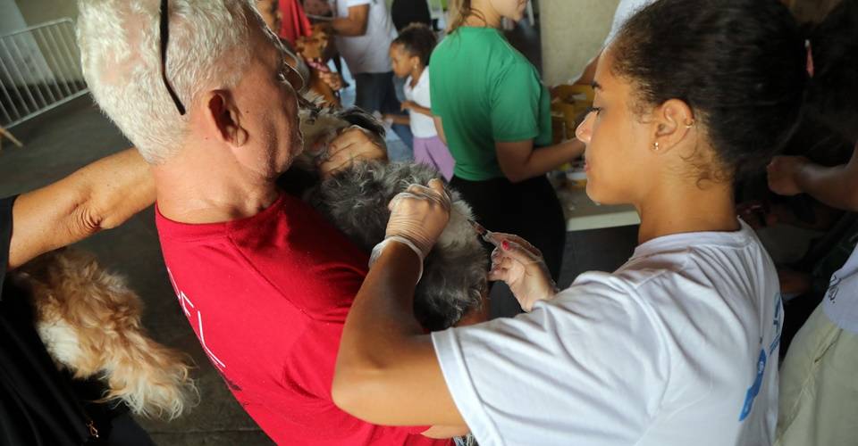 Vacina V10 gratuita para cães em Marechal Rondon; veja