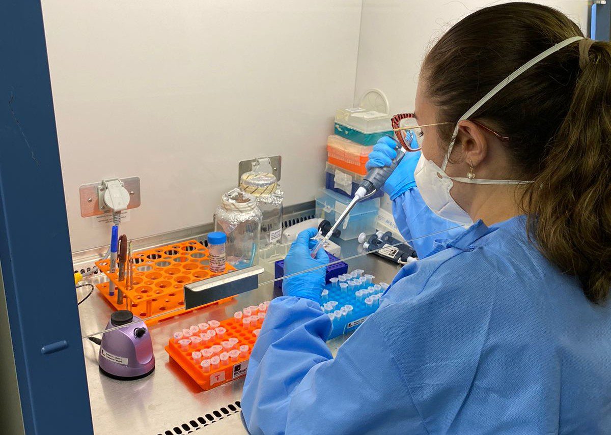 Vacina de DNA contra o zika mostra eficácia em ensaios com camundongos