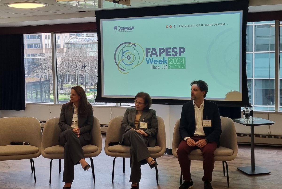 Pesquisador alerta para preocupante emergência da presença de cocaína na baía de Santos