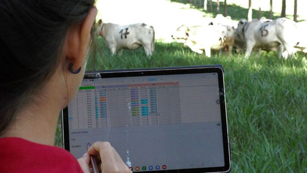 Benefícios das árvores no pasto para bovinos: ganho de peso, conforto térmico e reprodução aprimorados.