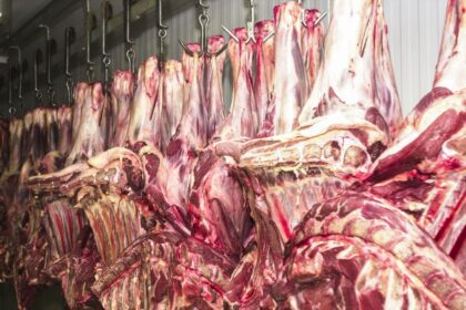 Volume das exportações de carne bovina bate recorde, mas preço continua em queda