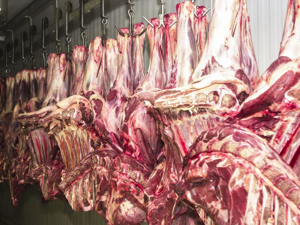 Volume das exportações de carne bovina bate recorde, mas preço continua em queda