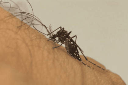 Número de mortes por dengue na Bahia chega a 28
