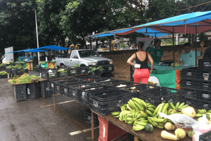 Cesta Básica de Salvador: alta de 1,72% em março