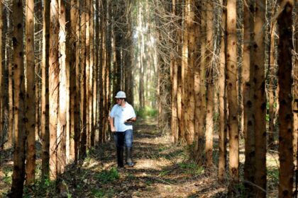 ABAF comemora 20 anos e parceria com Governo da Bahia no Plano Bahia Florestal 2033