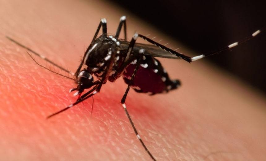 Bahia soma 30 mortes por dengue; epidemia em mais de 60% dos municípios