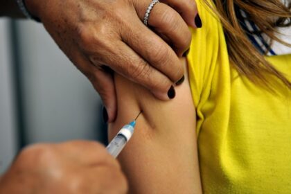 Saúde alerta para vigilância e imunização contra febre amarela