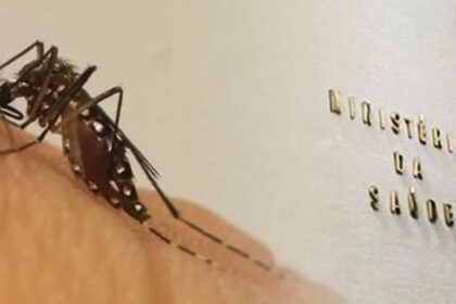 Bahia tem 49 óbitos por dengue em 2024; Brasil contabiliza quase 1,8 mil mortes