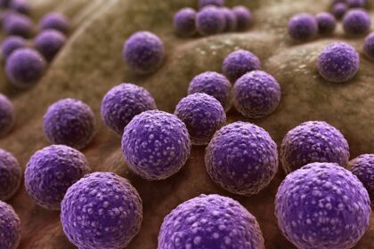 Terapia com luz UV diminui resistência de bactérias aos antibióticos