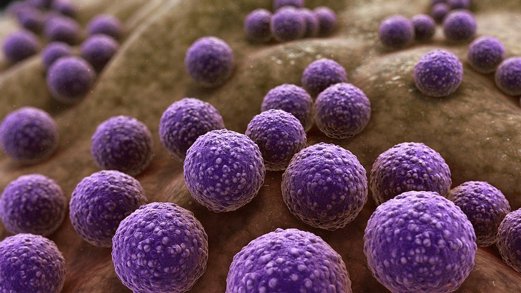 Terapia com luz UV diminui resistência de bactérias aos antibióticos