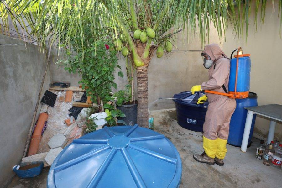 Cenário da dengue na Bahia com queda, diz Centro de Emergência em Saúde