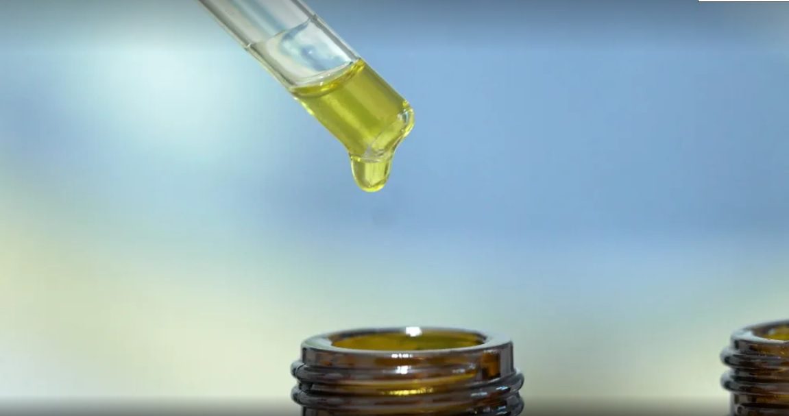 Fórum de Cannabis Medicinal será realizado no dia 6 em Salvador