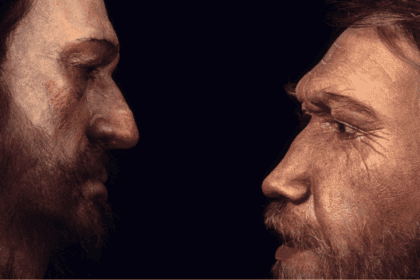 Uma capacidade curiosa diferenciou o Homo sapiens dos neandertais