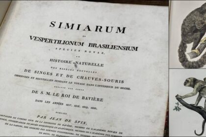 PF recupera em Londres livro de 1823 furtado de museu no Pará
