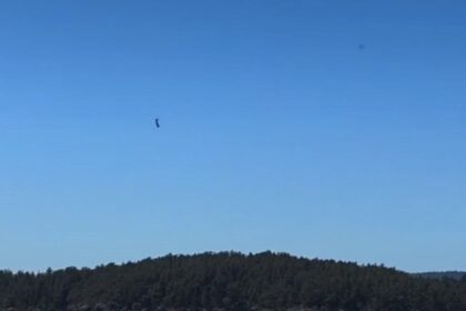 Buscas em andamento após aeronave cair na água e afundar nos EUA