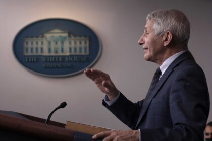 Fauci critica críticas republicanas como "simplesmente estúpidas"