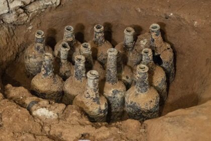 Frutas de 250 anos são encontradas "perfeitamente preservadas" nos EUA