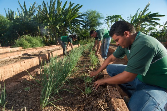 Governo da Bahia investirá R$ 225 milhões em ATER para a agricultura familiar