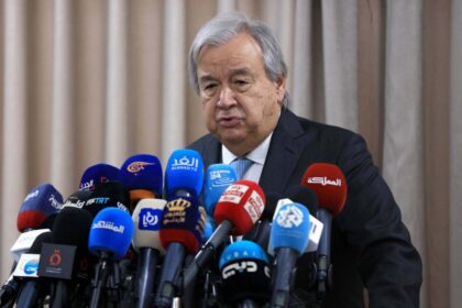 Guterres pede restauração de "ecossistemas" e combate à desflorestação