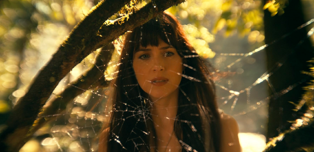 Madame Teia ganha data para chegar ao streaming; confira