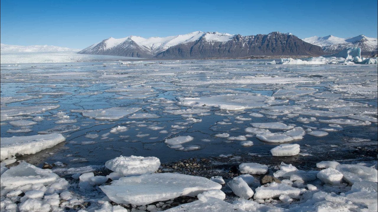 Propostas da Fundação Oceano Azul para salvar o oceano