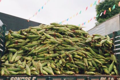Feira de São João retorna à Ceasa nesta quarta-feira (05) e deve movimentar a economia baiana em junho