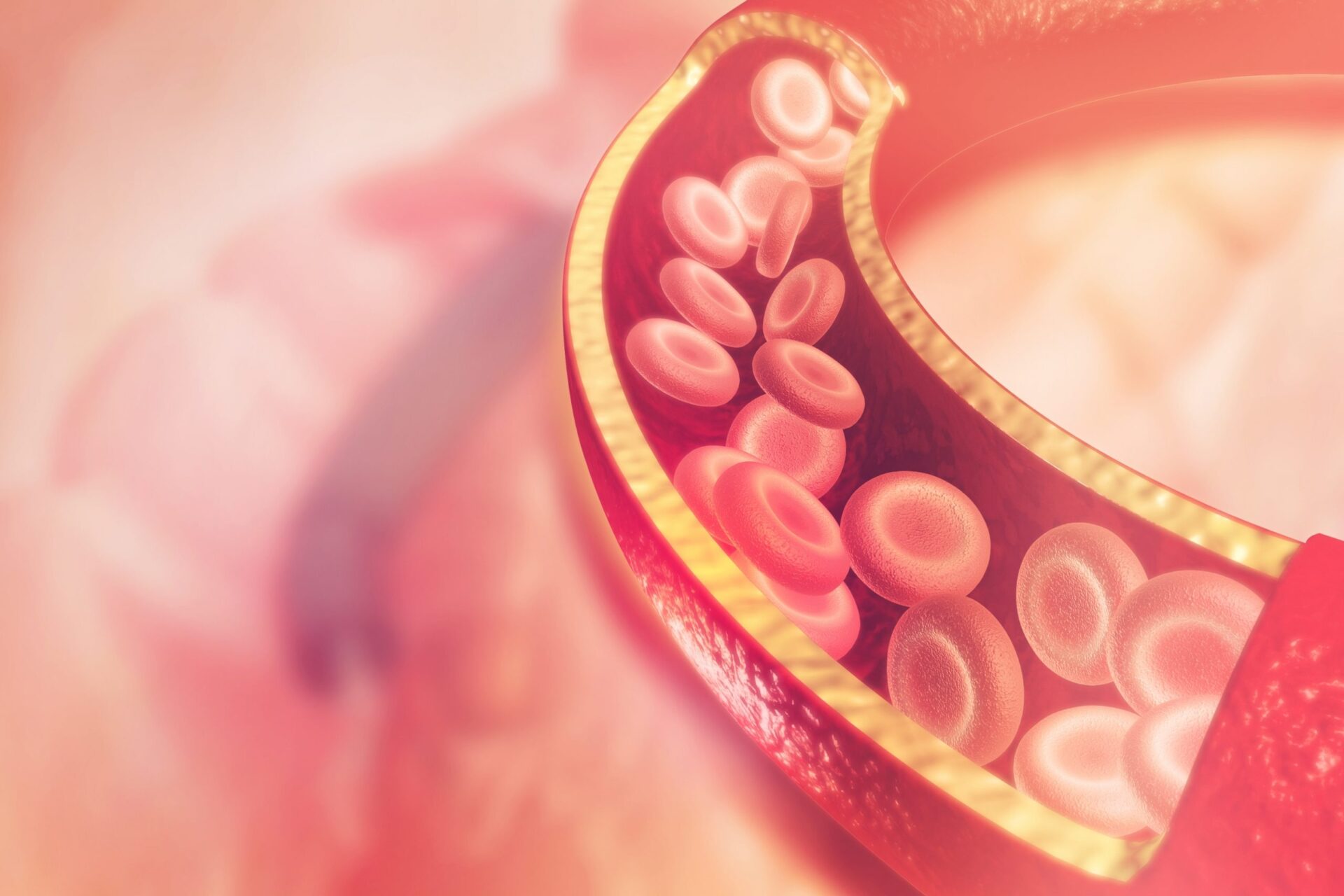 Compostos químicos 'eternos' podem entrar na corrente sanguínea