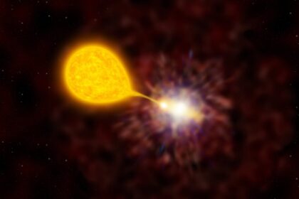 IA ajuda a entender por que “estrelas vampiras” explodem