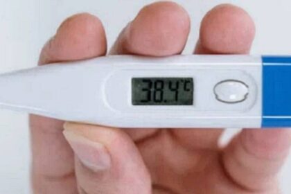 Dengue: 110 cidades na BA com epidemia; 85 mortes registradas.