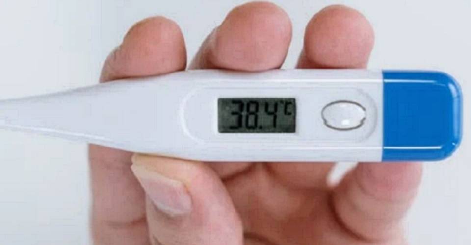 Dengue: 110 cidades na BA com epidemia; 85 mortes registradas.