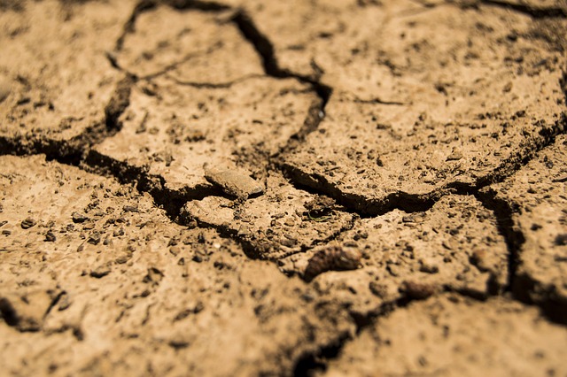 FAPESP participa da Chamada Regional África do Belmont Forum: Confira a colaboração para projetos de pesquisa na região africana.