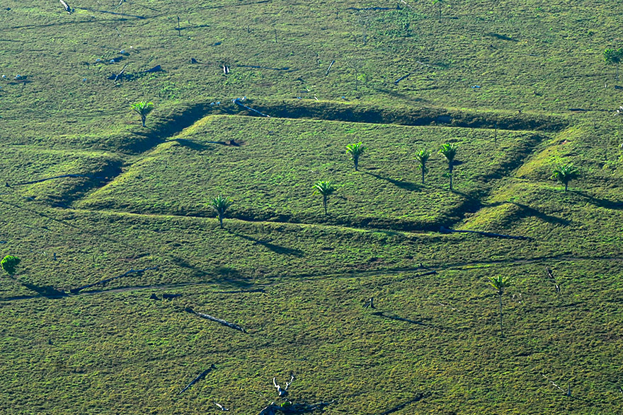 Protetores da Amazônia: cientistas colaboram com comunidades locais para preservar sítios arqueológicos em perigo