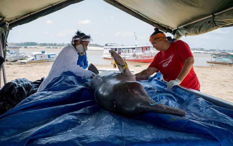 Aquecimento generalizado da água na Amazônia: alerta de pesquisadores